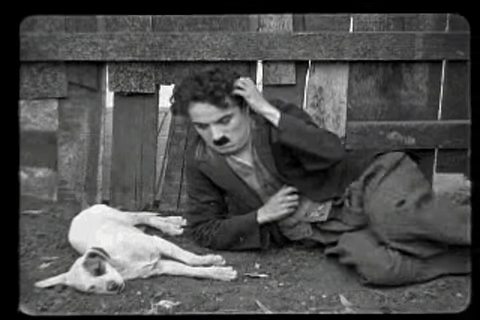Real GIF output converted from the public-domain source video